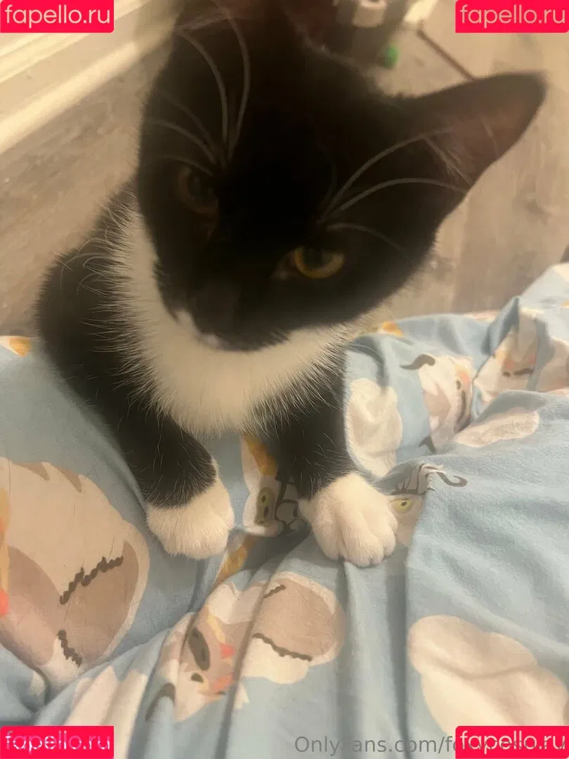 FoxyCosplay / foxy.cosplay / foxy_cosplay Onlyfans Photo Gallery 