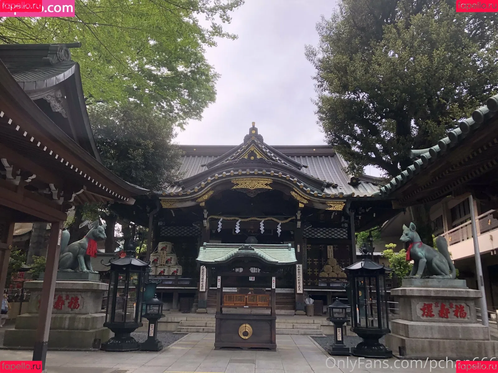 P-chan / Pchan666 / pchan030 Onlyfans Photo Gallery 