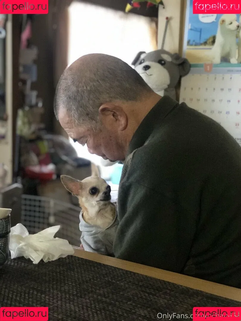 P-chan / Pchan666 / pchan030 Onlyfans Photo Gallery 