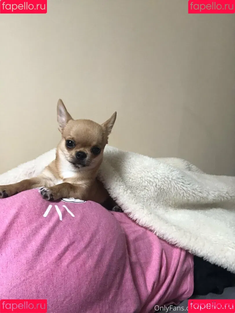 P-chan / Pchan666 / pchan030 Onlyfans Photo Gallery 