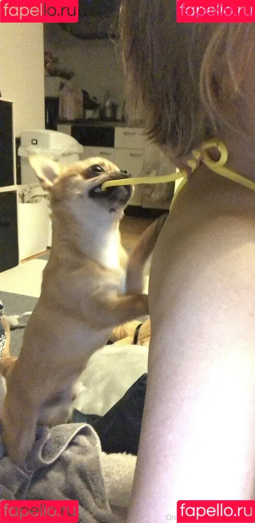 P-chan / Pchan666 / pchan030 Onlyfans Photo Gallery 