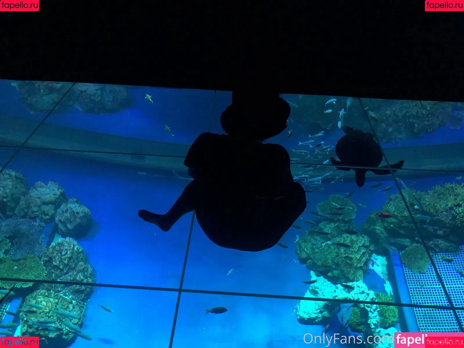 P-chan / Pchan666 / pchan030 Onlyfans Photo Gallery 