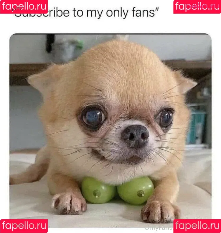 P-chan / Pchan666 / pchan030 Onlyfans Photo Gallery 