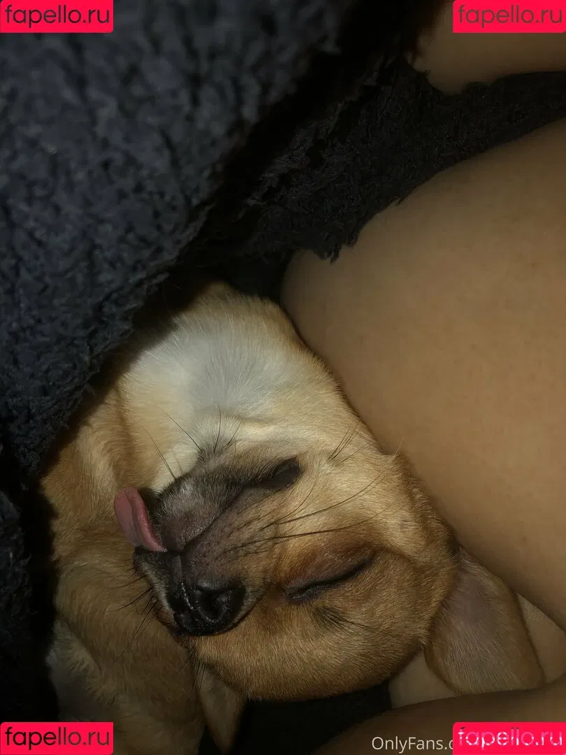 P-chan / Pchan666 / pchan030 Onlyfans Photo Gallery 