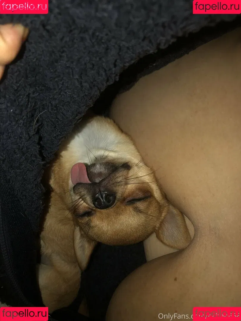 P-chan / Pchan666 / pchan030 Onlyfans Photo Gallery 