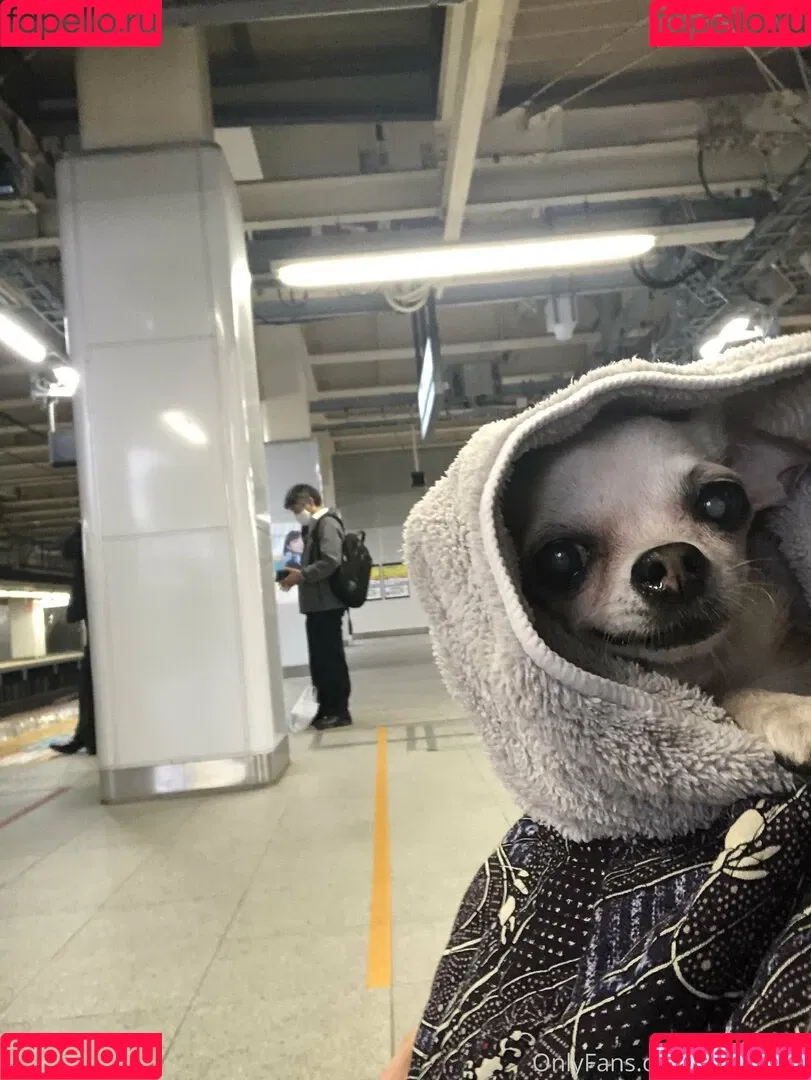 P-chan / Pchan666 / pchan030 Onlyfans Photo Gallery 