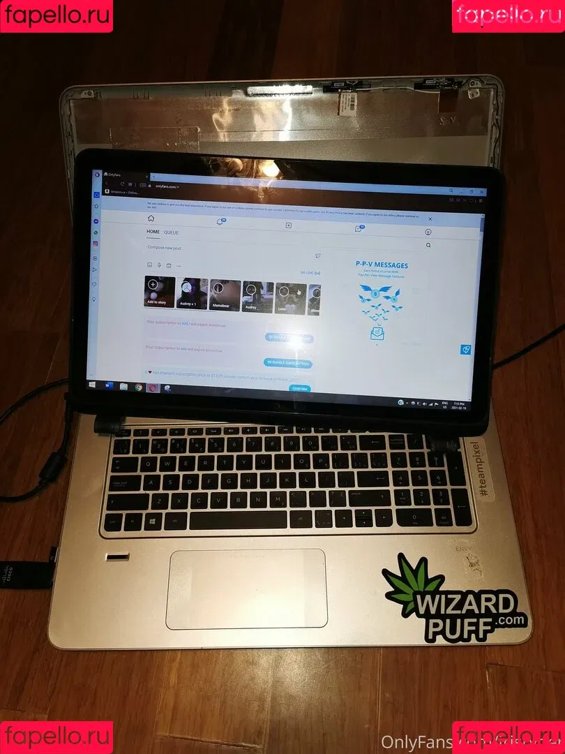 irisryder / irisstryx Onlyfans Photo Gallery 