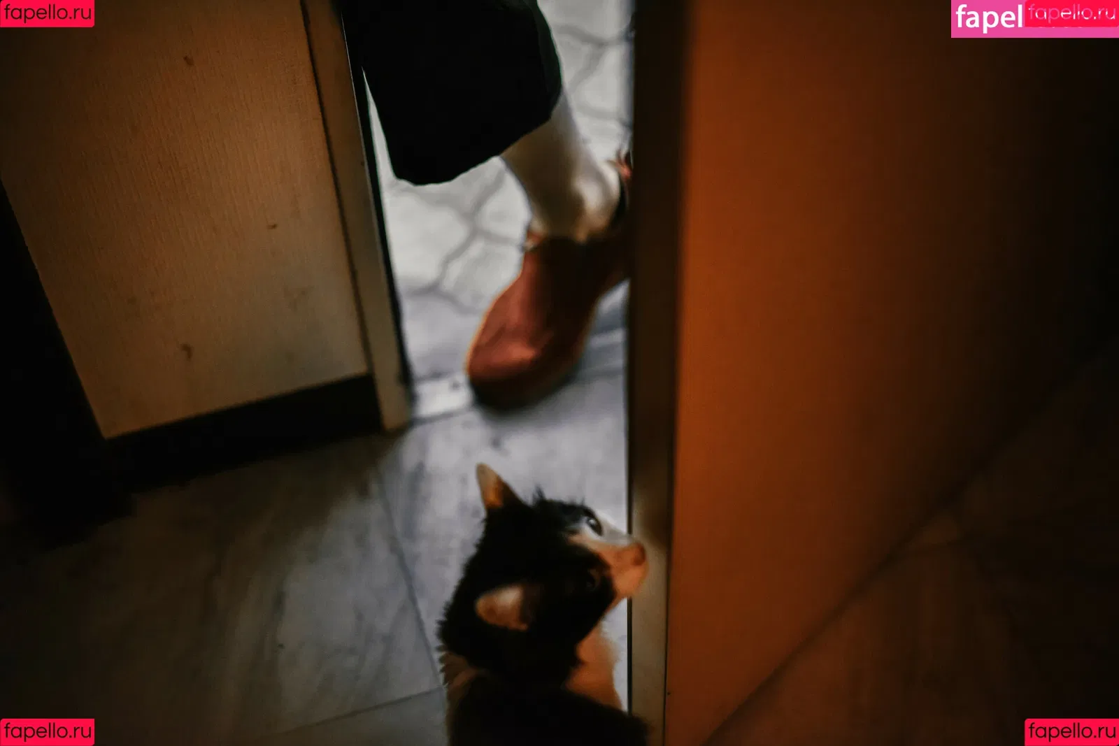 Ely Cosplay / Ely_eee / eeelyeee Onlyfans Photo Gallery 