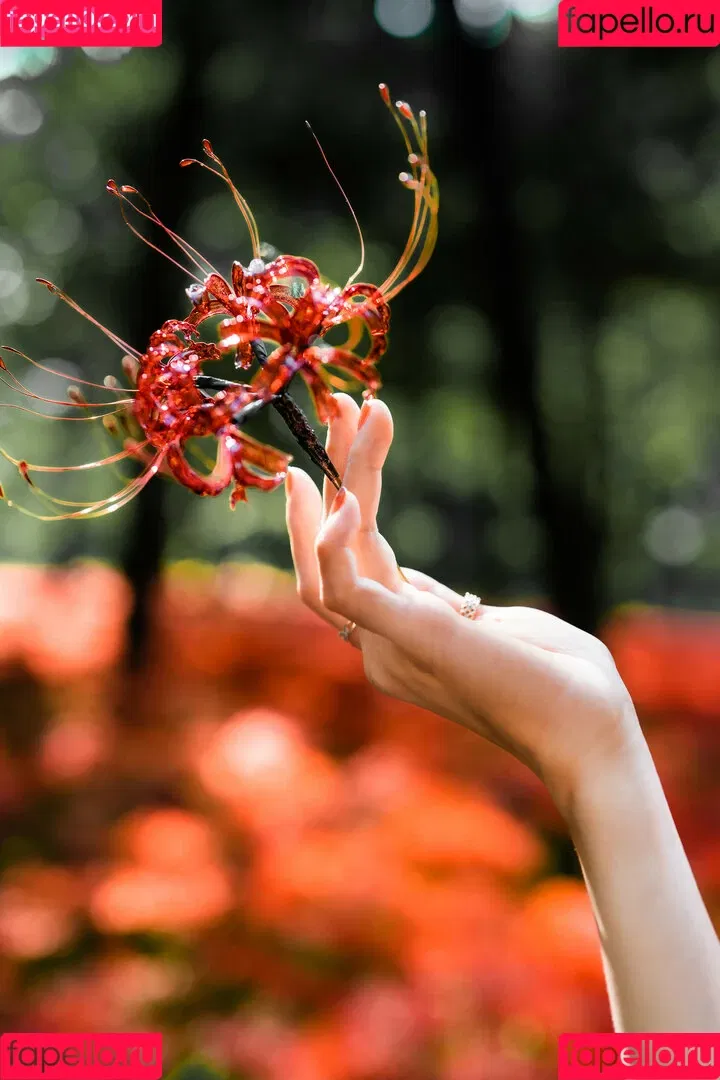 Ely Cosplay / Ely_eee / eeelyeee Onlyfans Photo Gallery 