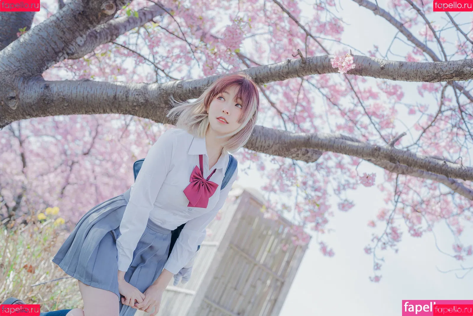 Ely Cosplay / Ely_eee / eeelyeee Onlyfans Photo Gallery 