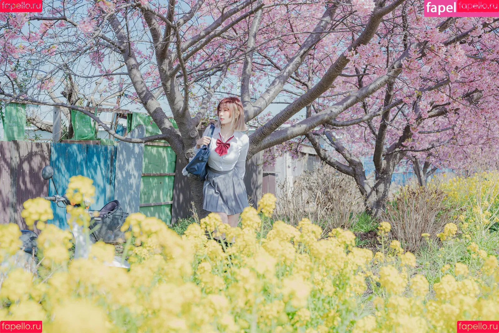 Ely Cosplay / Ely_eee / eeelyeee Onlyfans Photo Gallery 