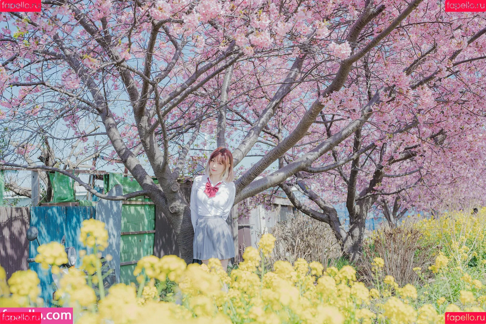 Ely Cosplay / Ely_eee / eeelyeee Onlyfans Photo Gallery 