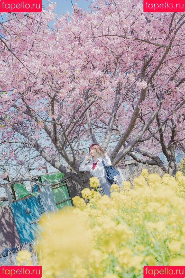 Ely Cosplay / Ely_eee / eeelyeee Onlyfans Photo Gallery 