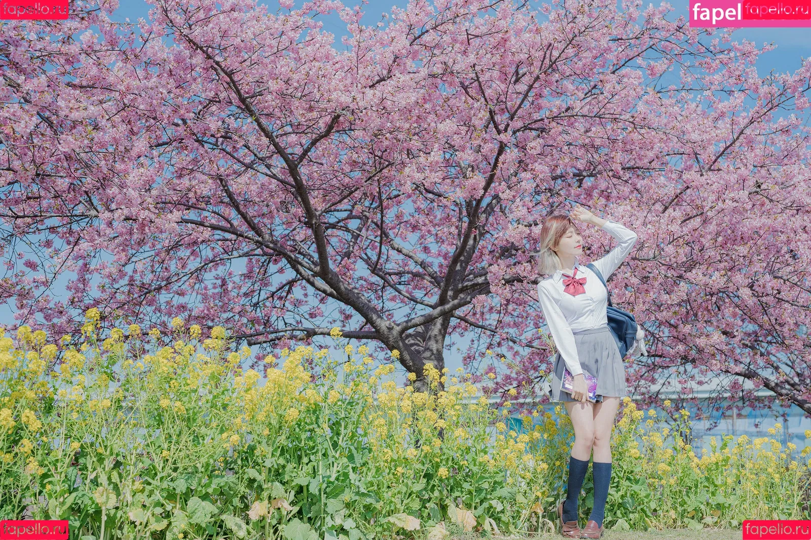 Ely Cosplay / Ely_eee / eeelyeee Onlyfans Photo Gallery 