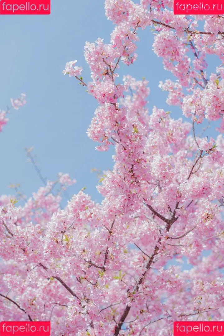 Ely Cosplay / Ely_eee / eeelyeee Onlyfans Photo Gallery 