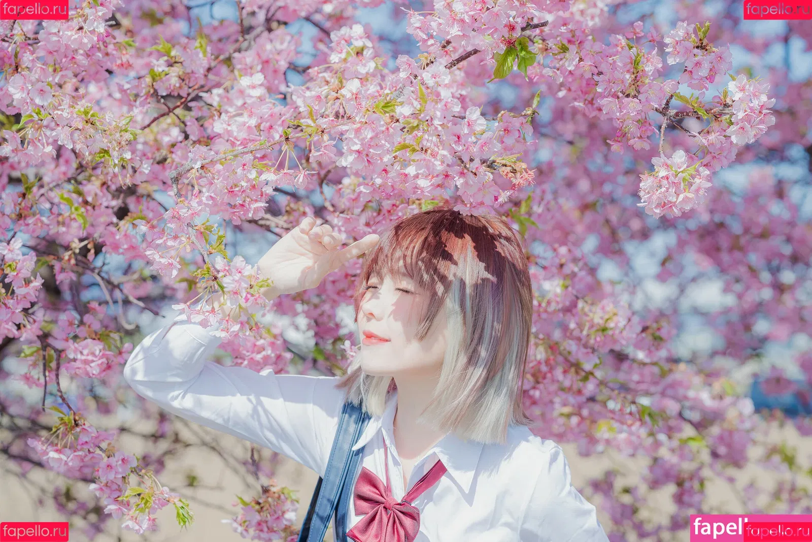 Ely Cosplay / Ely_eee / eeelyeee Onlyfans Photo Gallery 