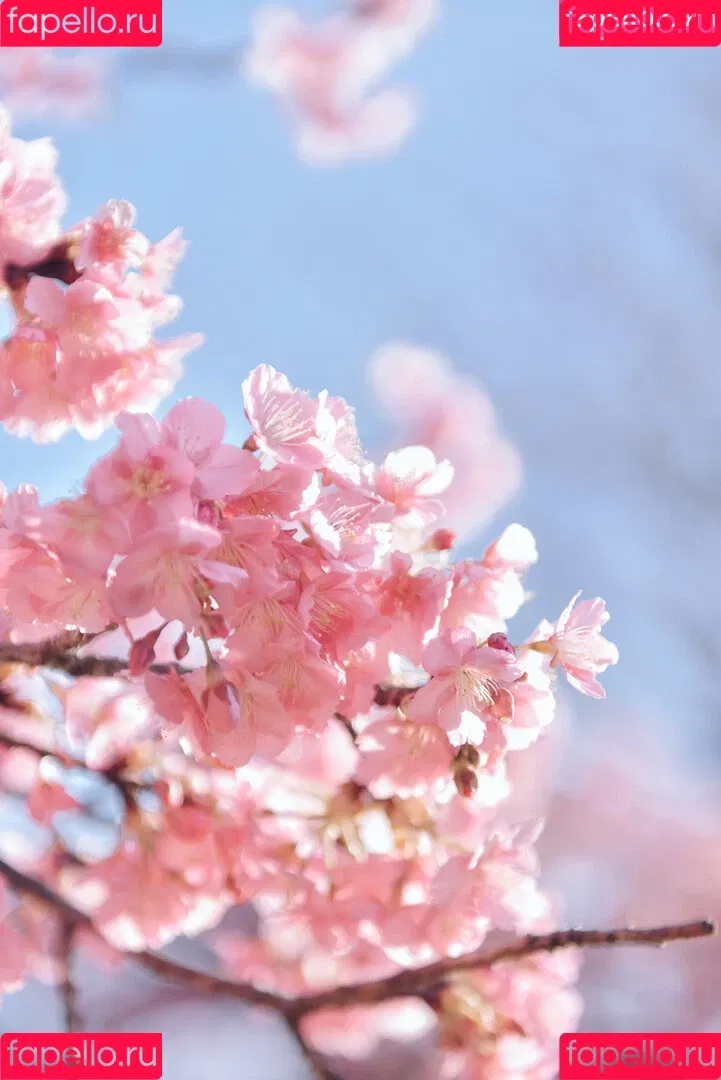 Ely Cosplay / Ely_eee / eeelyeee Onlyfans Photo Gallery 