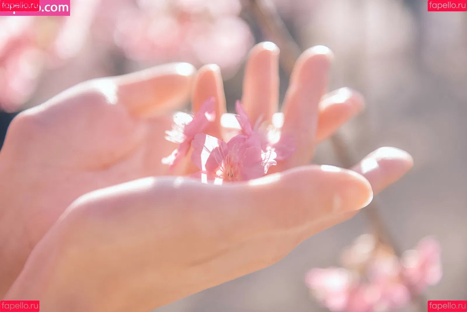 Ely Cosplay / Ely_eee / eeelyeee Onlyfans Photo Gallery 