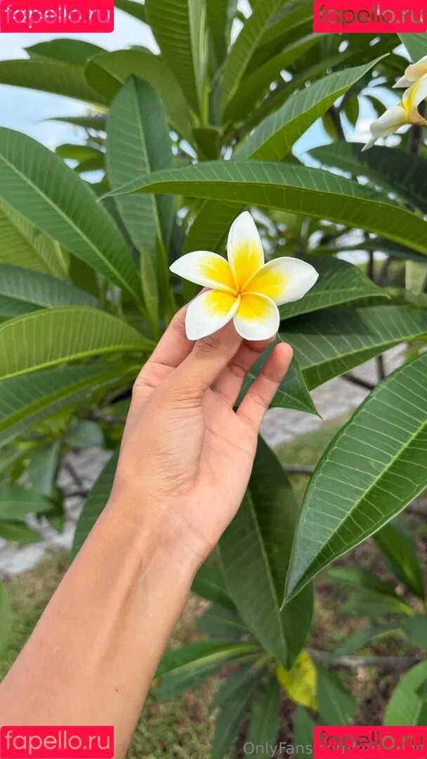 MiaJeen / Mia_Jeen / mia.jeen Onlyfans Photo Gallery 