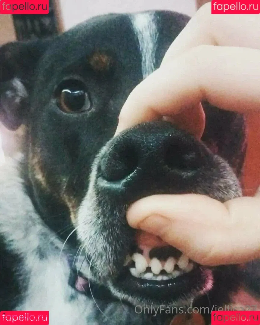 jelica_05_hej / jellica27 Onlyfans Photo Gallery 