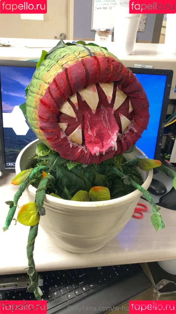 w-holesomeginger Onlyfans Photo Gallery 