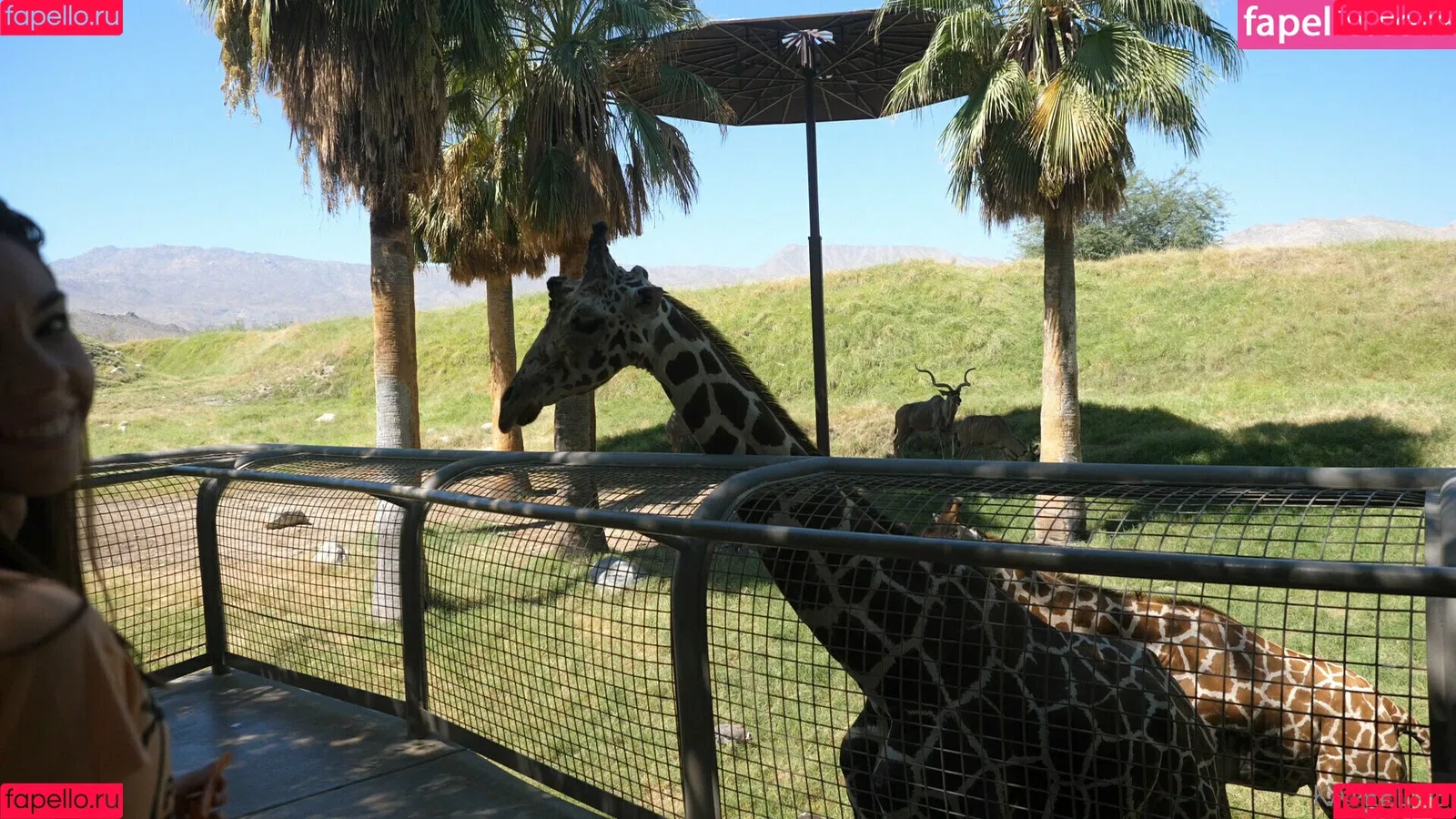 Katee owen / Kateelife / kateeowenoficial Onlyfans Photo Gallery 