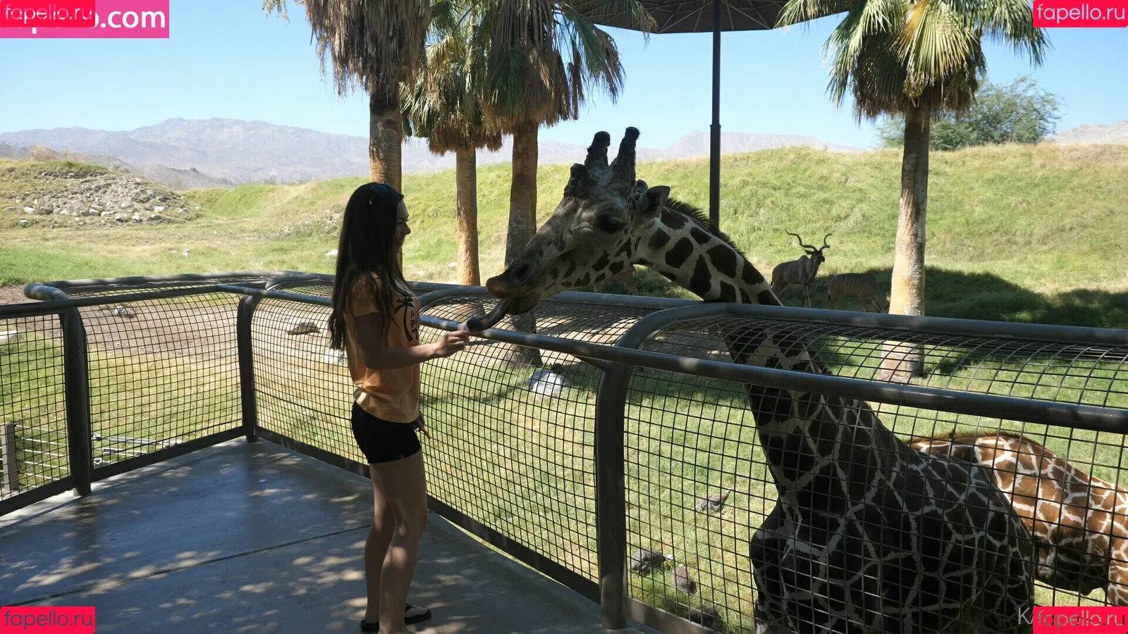 Katee owen / Kateelife / kateeowenoficial Onlyfans Photo Gallery 