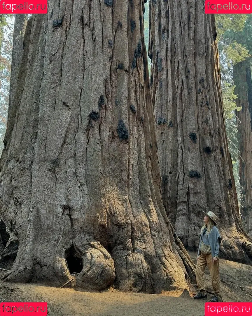 Michelle Monaghan / michellemonaghan / realmonaghan Onlyfans Photo Gallery 