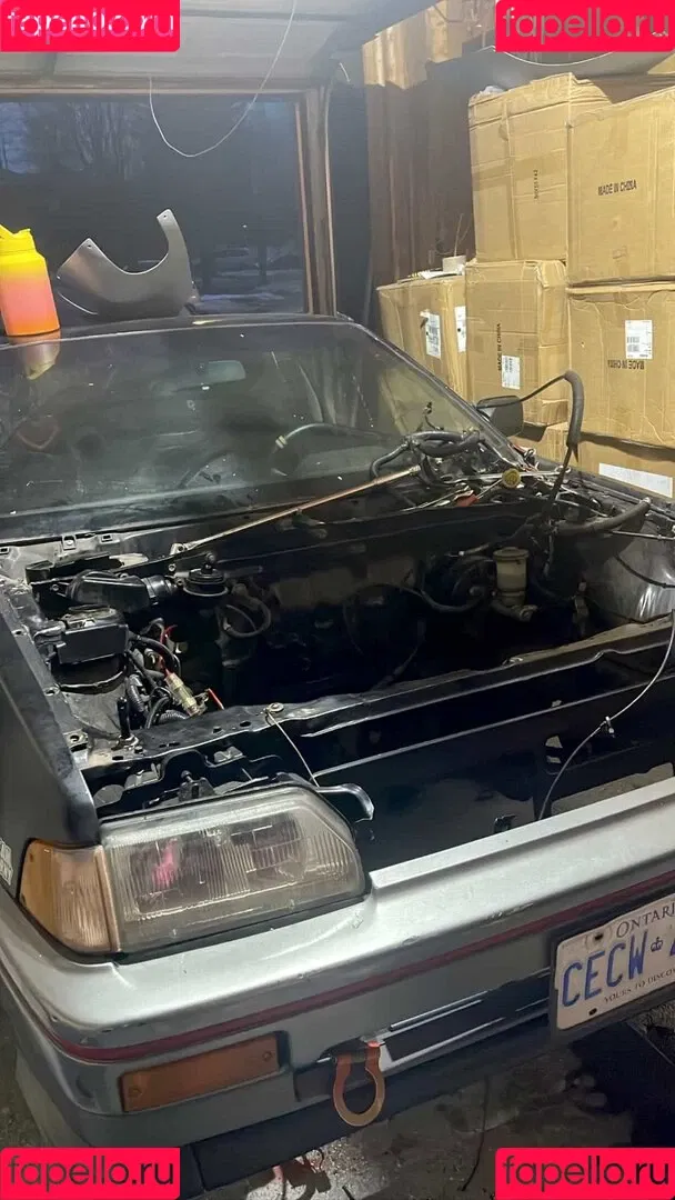 Shhhar / chvrlctte / shhhare Onlyfans Photo Gallery 