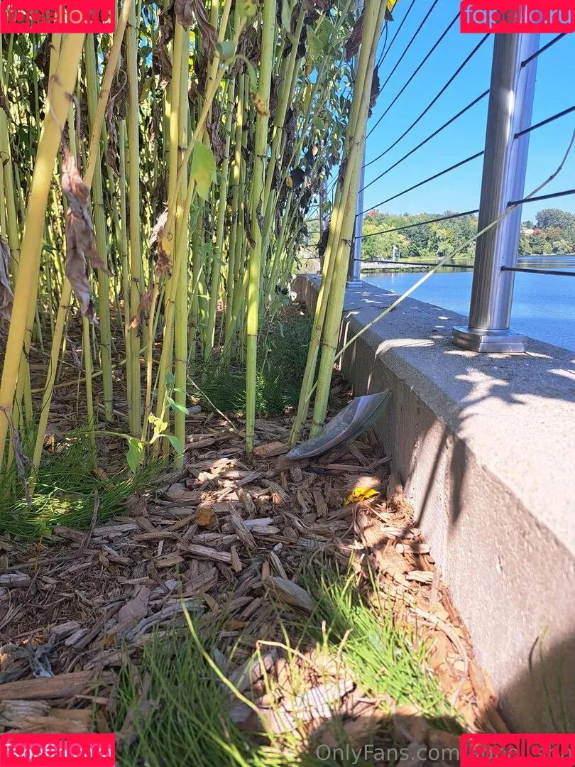 appol_shh Onlyfans Photo Gallery 