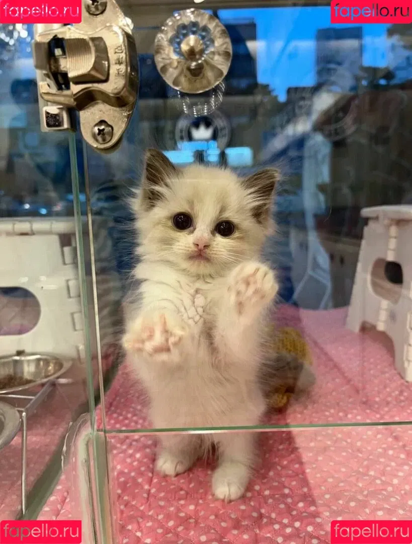 YourSmallDoll / yourteeendoll Onlyfans Photo Gallery 