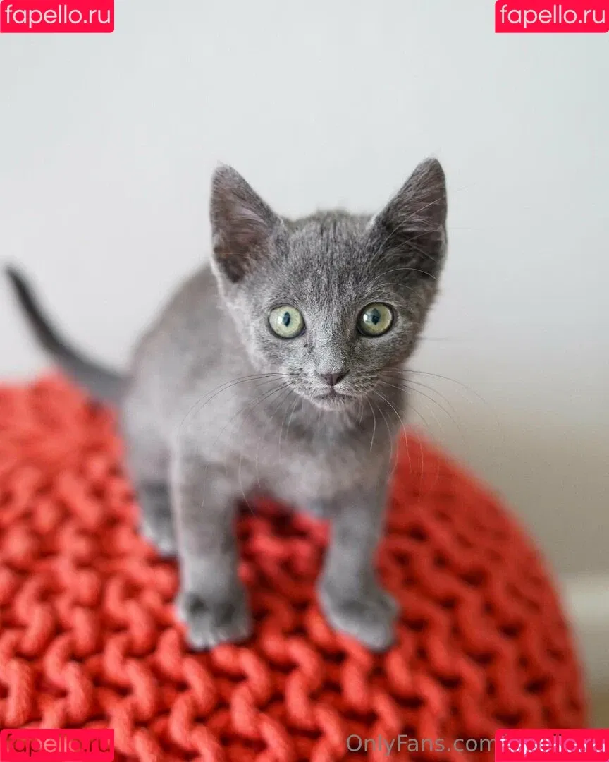 carla.leclercq / carla000 Onlyfans Photo Gallery 