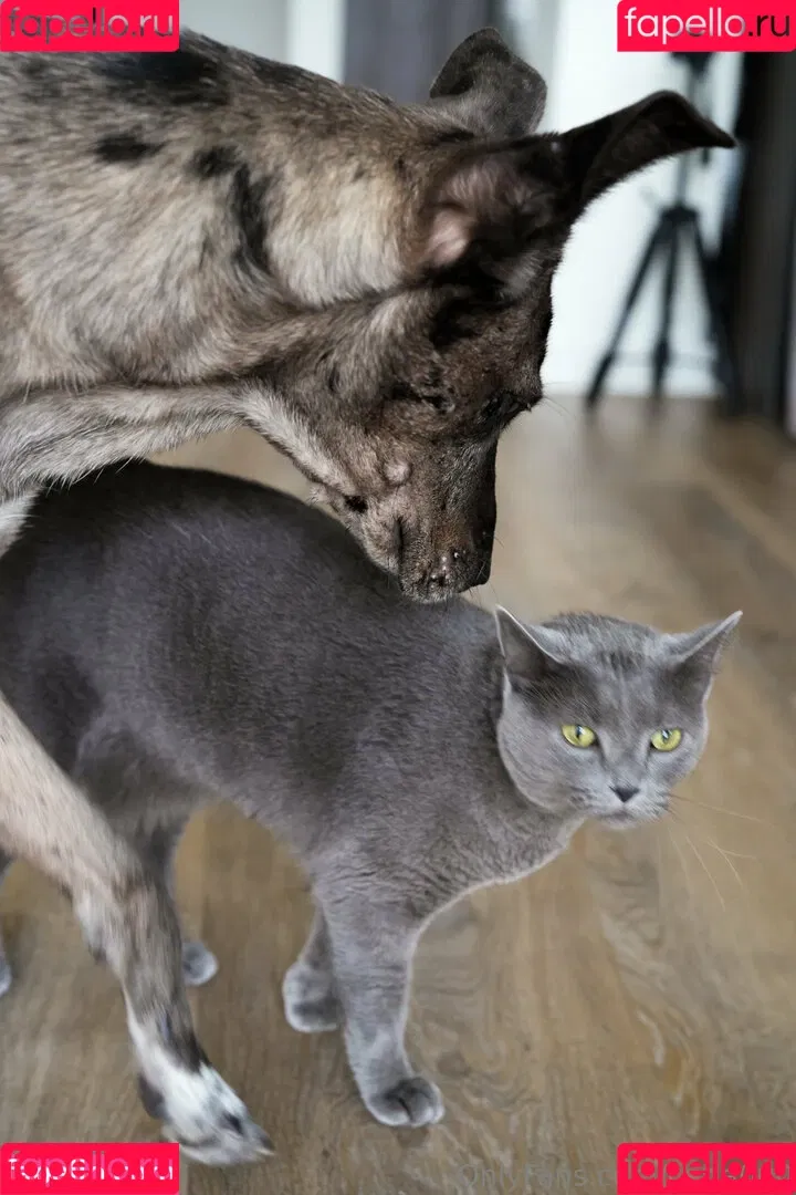 carla.leclercq / carla000 Onlyfans Photo Gallery 