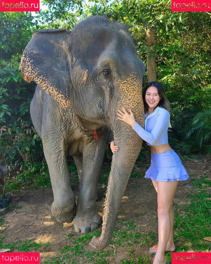 YuggieTV / Yuggie_TV Onlyfans Photo Gallery 