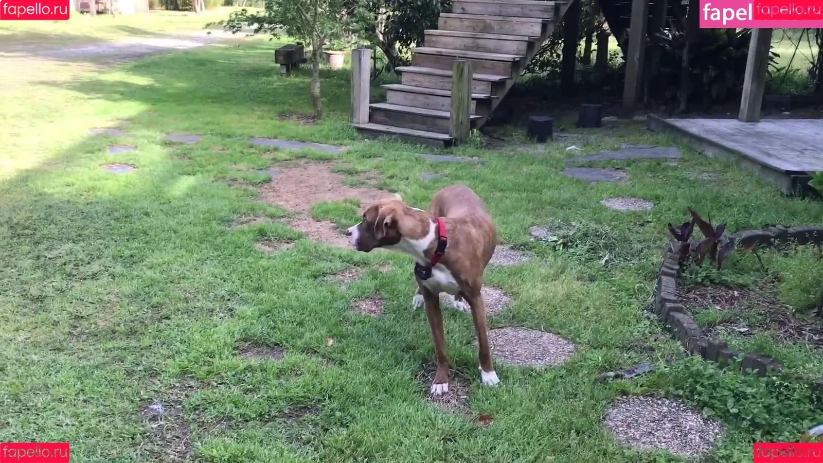 bansheemoon / bansheesmoon / thebansheemoon Onlyfans Photo Gallery 