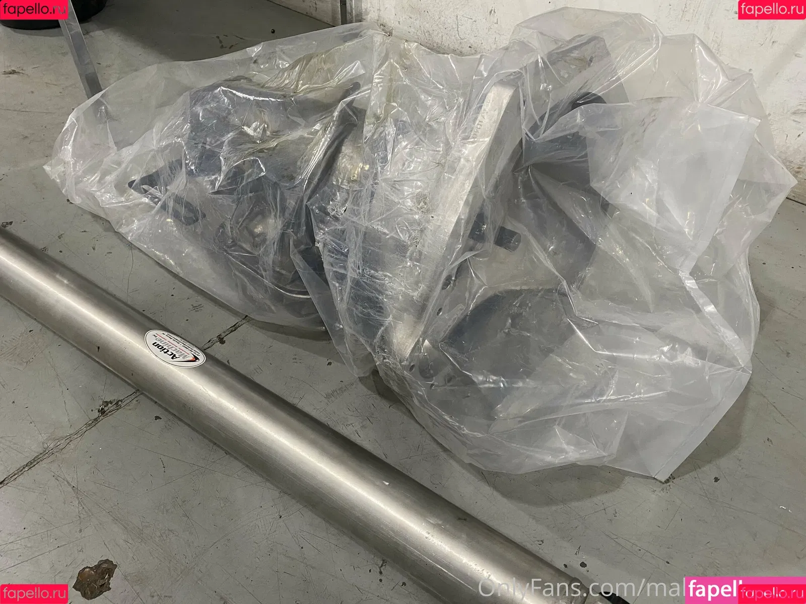 maloriewoods / maloriewoods302 Onlyfans Photo Gallery 