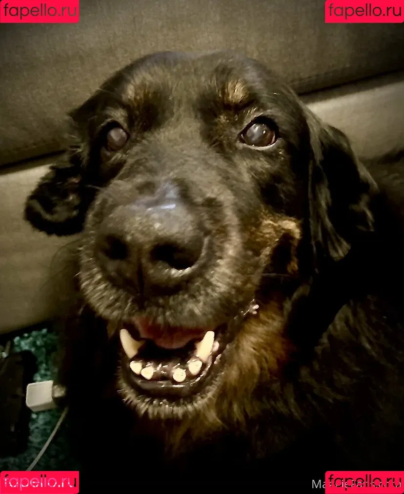 maggiegreenlive / maggiegreenlive_backup Onlyfans Photo Gallery 