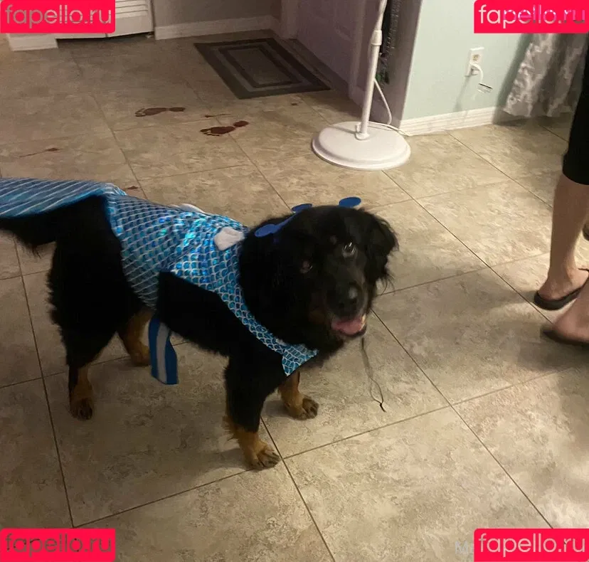 maggiegreenlive / maggiegreenlive_backup Onlyfans Photo Gallery 