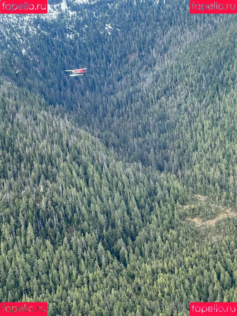 maggiegreenlive / maggiegreenlive_backup Onlyfans Photo Gallery 