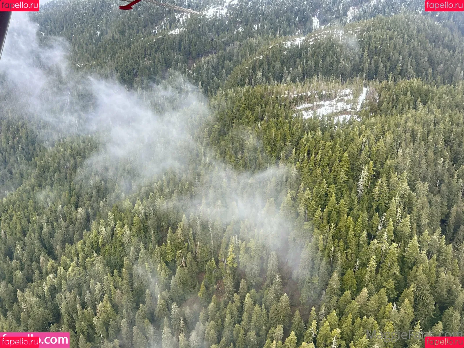 maggiegreenlive / maggiegreenlive_backup Onlyfans Photo Gallery 