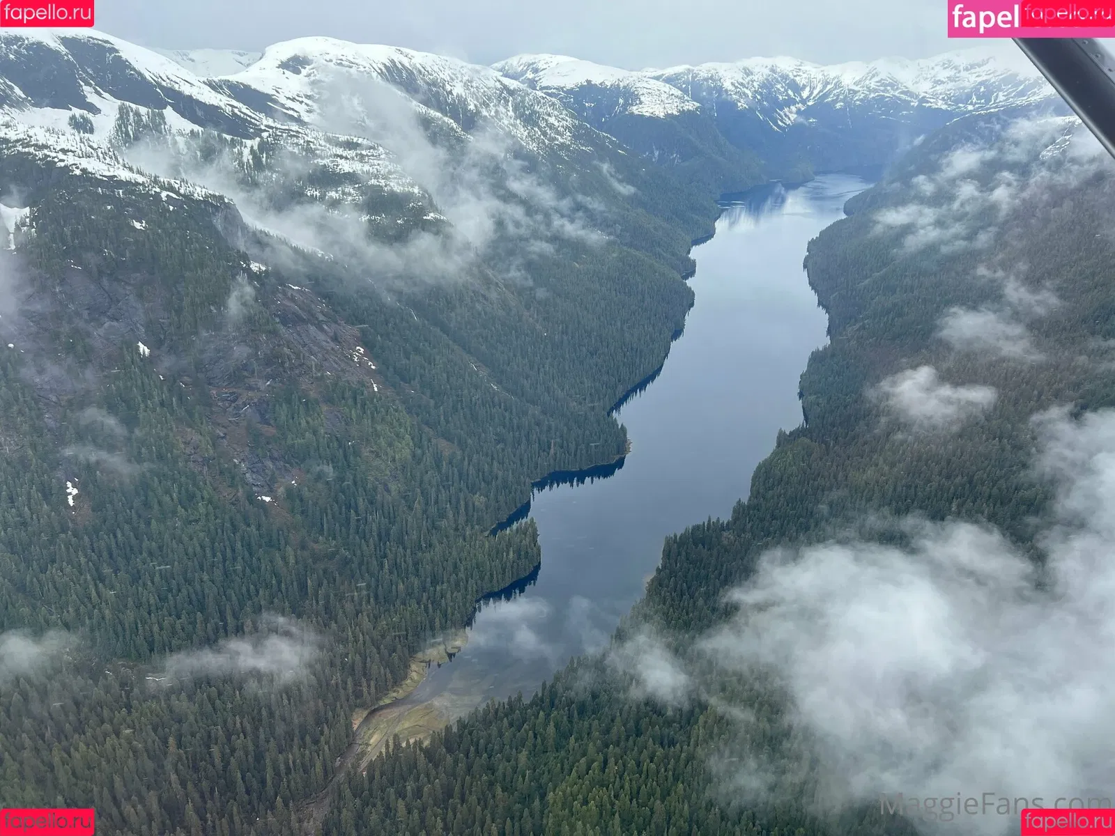 maggiegreenlive / maggiegreenlive_backup Onlyfans Photo Gallery 