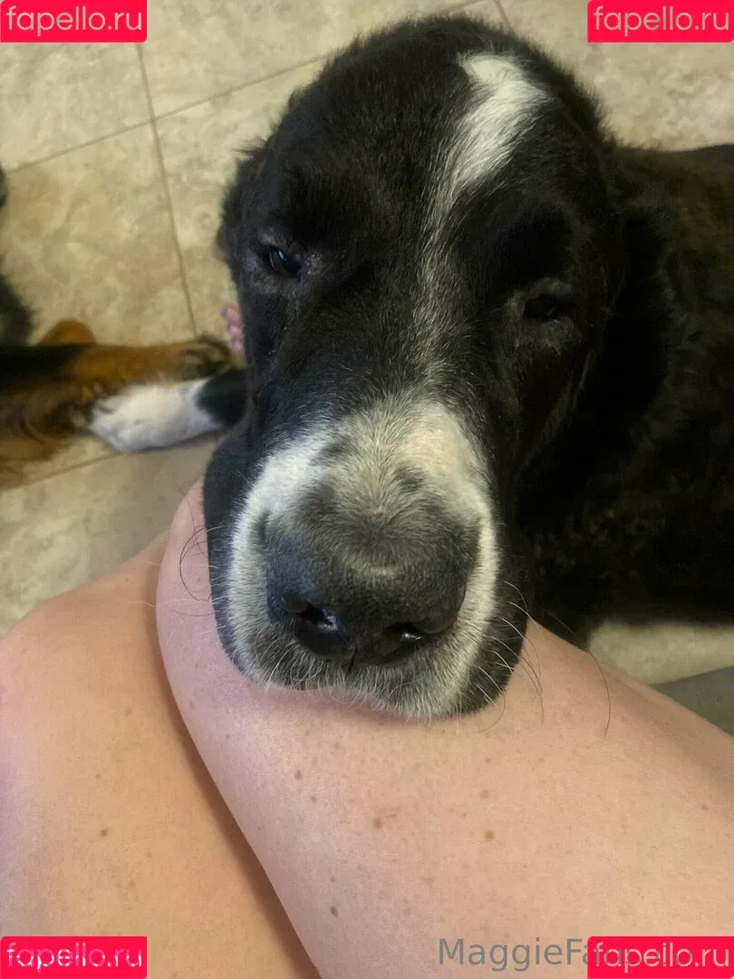 maggiegreenlive / maggiegreenlive_backup Onlyfans Photo Gallery 