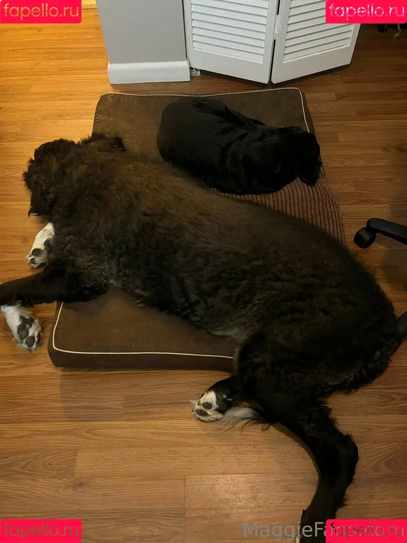 maggiegreenlive / maggiegreenlive_backup Onlyfans Photo Gallery 