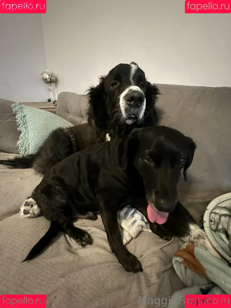 maggiegreenlive / maggiegreenlive_backup Onlyfans Photo Gallery 