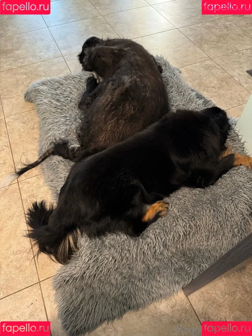 maggiegreenlive / maggiegreenlive_backup Onlyfans Photo Gallery 