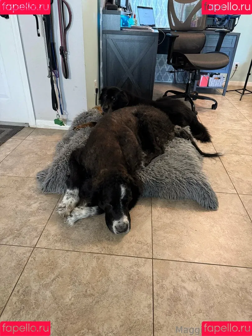 maggiegreenlive / maggiegreenlive_backup Onlyfans Photo Gallery 