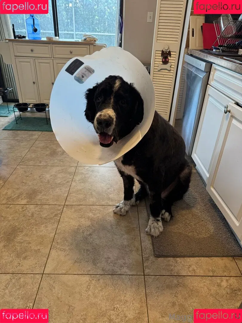 maggiegreenlive / maggiegreenlive_backup Onlyfans Photo Gallery 