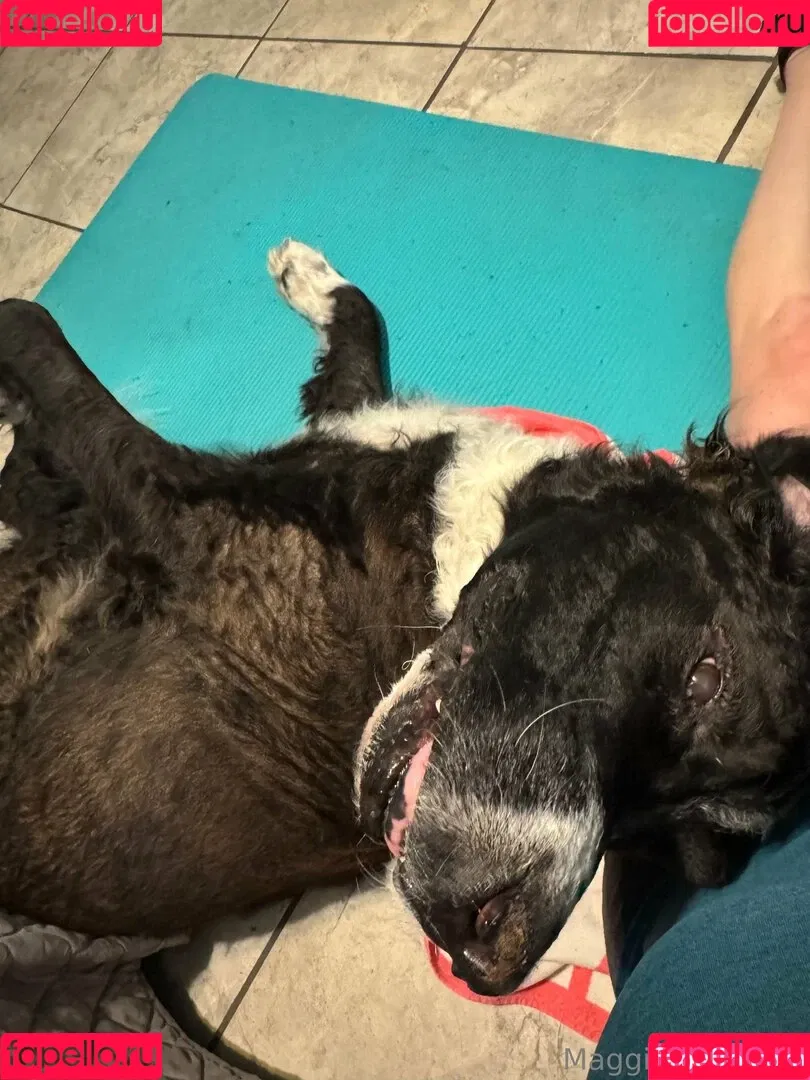 maggiegreenlive / maggiegreenlive_backup Onlyfans Photo Gallery 