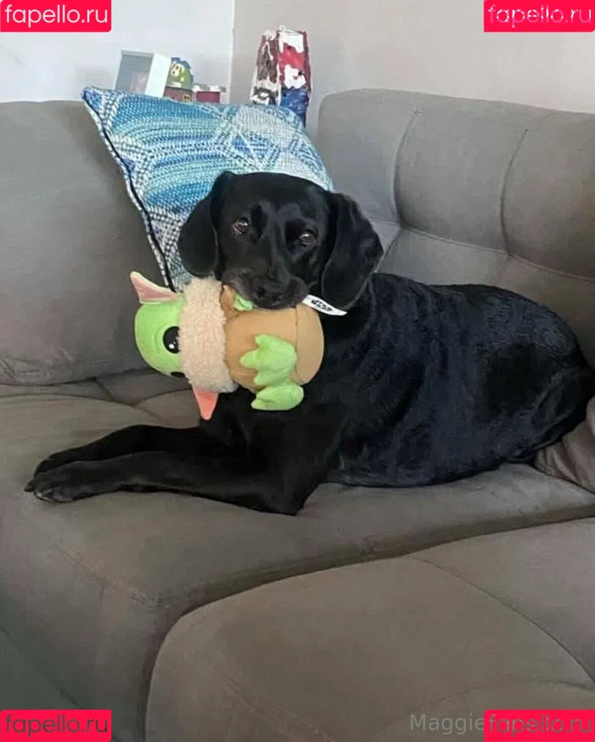 maggiegreenlive / maggiegreenlive_backup Onlyfans Photo Gallery 