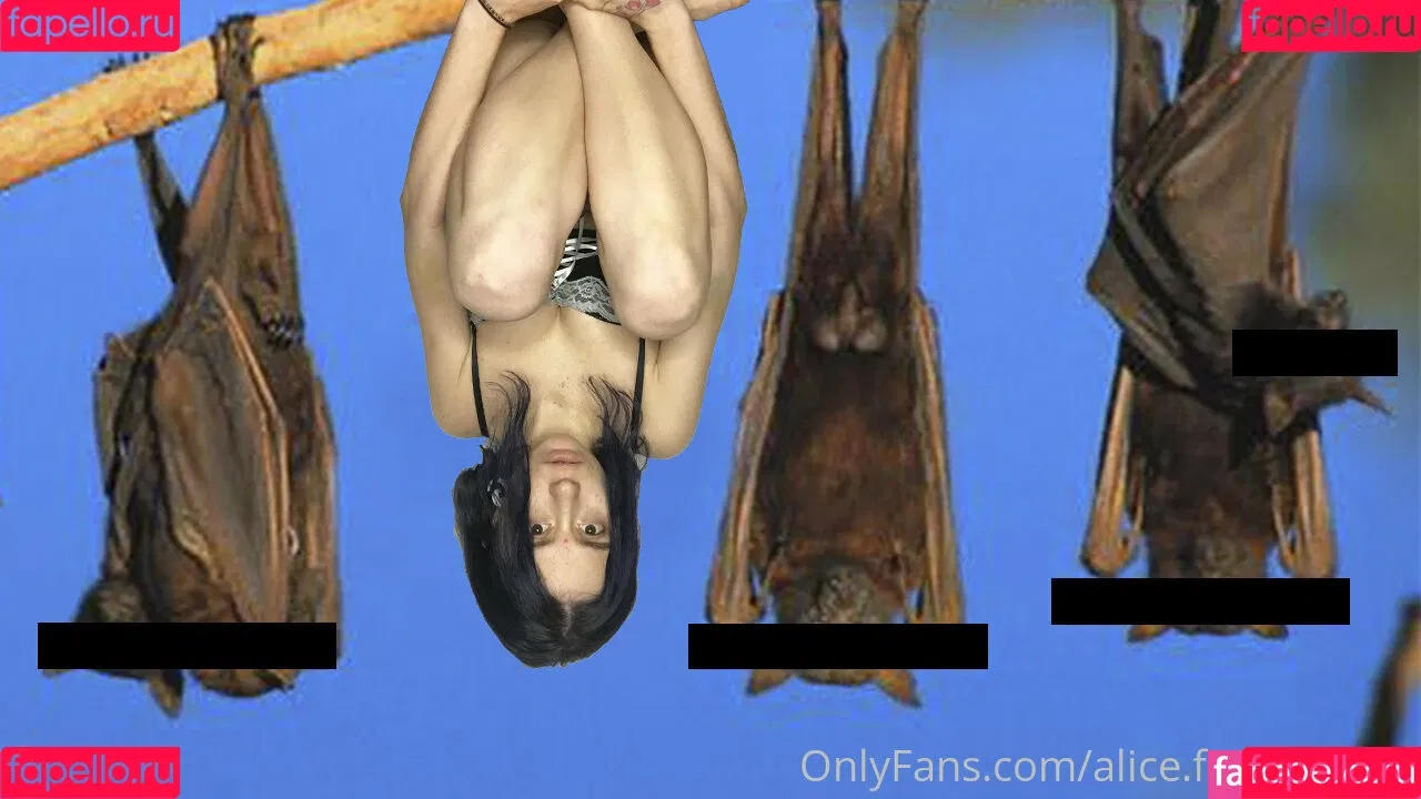 alice.free.sweets / alice_free_sweets / sweetfamily_life Onlyfans Photo Gallery 